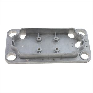 Carriage Plate Electric